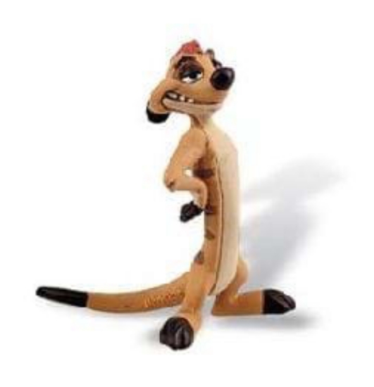 Imagine Timon