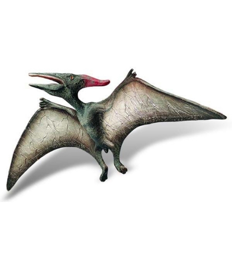 Imagine Pteranodon