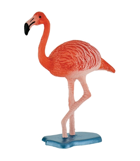Imagine Flamingo