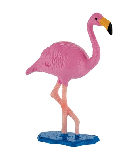 Imagine Flamingo roz
