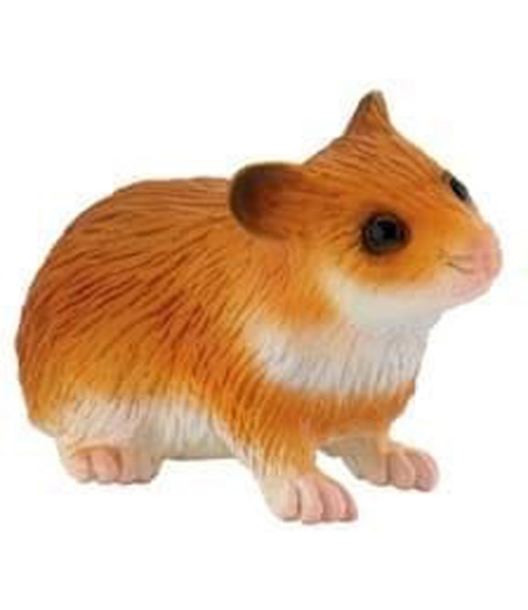 Imagine Hamster