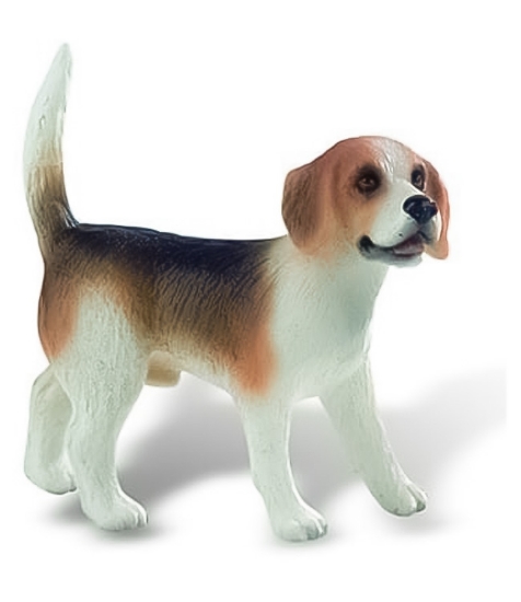 Imagine Caine rasa BEAGLE