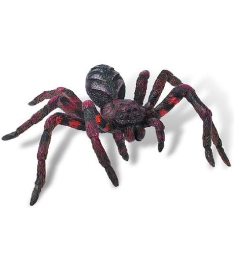 Imagine Wolf Spider