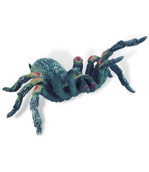 Imagine Tarantula