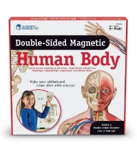 Imagine Corpul uman - set magnetic