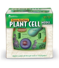 Imagine Sectiunea celulei plantei