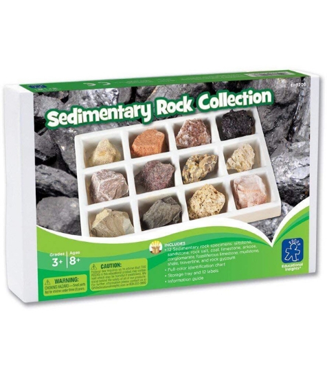 Imagine Kit paleontologie - Roci sedimentare