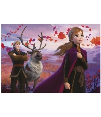 Imagine Puzzle 2 in 1 - Frozen II (77 piese)