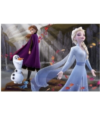 Imagine Puzzle 2 in 1 - Frozen II (77 piese)