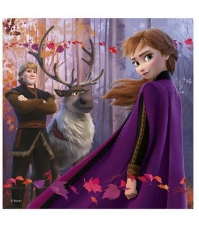 Imagine Puzzle 3 in 1 - Frozen II (3 x 55)