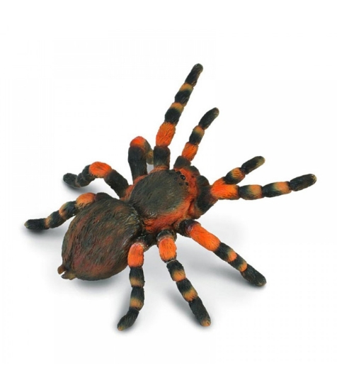 Imagine Figurina Tarantula Mexicana cu genunchi rosii