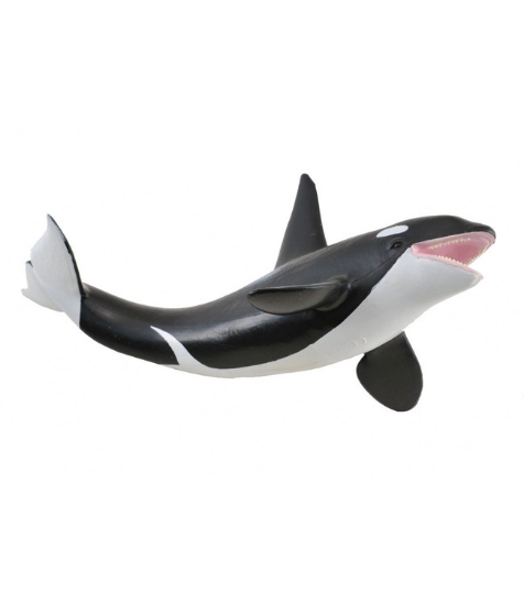 Imagine Figurina Balena UcigasaOrca