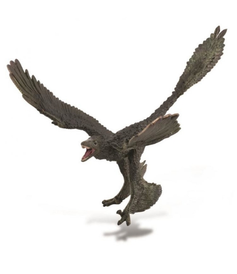 Imagine Figurina dinozaur Microraptor pictata manual XL