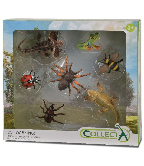Imagine Set 7 buc Insecte
