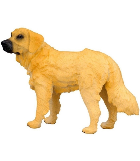 Imagine Golden Retriever M