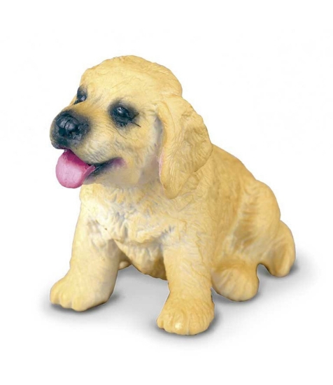 Imagine Golden Retriever Pui S