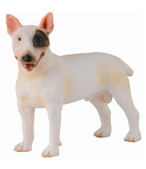 Imagine Caine Bull Terrier mascul