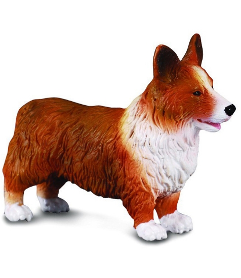 Imagine Corgi