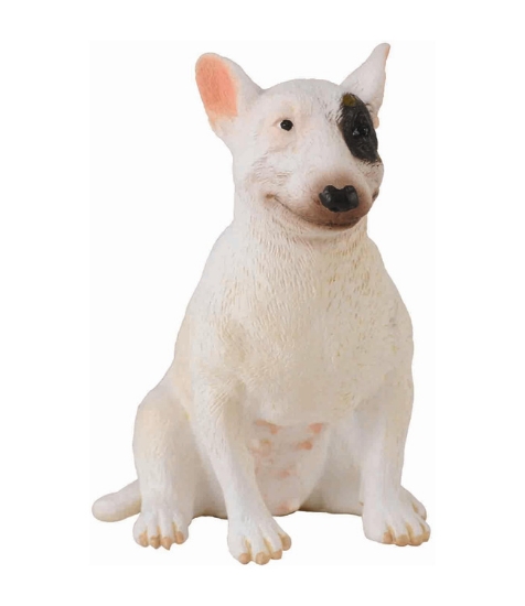 Imagine Caine Bull Terrier femela