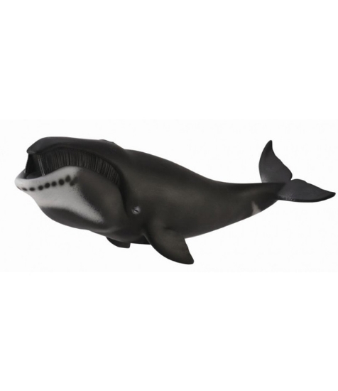 Imagine Figurina Balena Bowhead XL