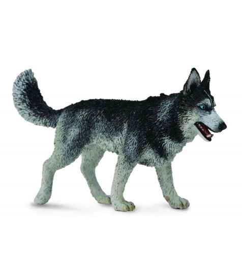 Imagine Figurina Caine Husky Siberian L