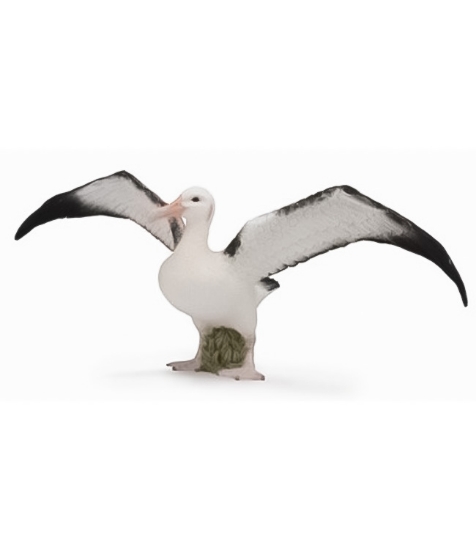 Imagine Figurina Albatros Ratacitor L