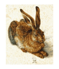 Imagine Kit pictura pe numere Young Hare de Albrecht Durer