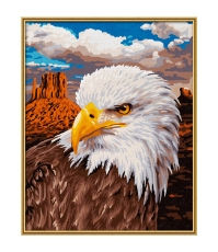 Imagine Kit pictura pe numere Acvila Americana