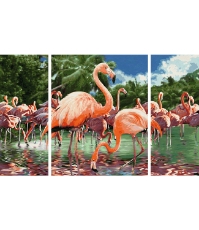 Imagine Kit pictura pe numere Flamingo, 3 Tablouri