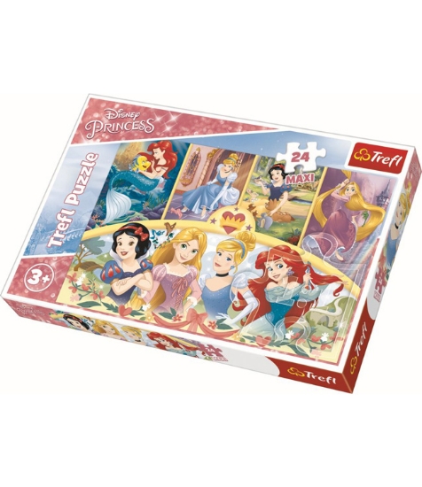 Imagine Puzzle Trefl 24 Maxi Amintiri Magice