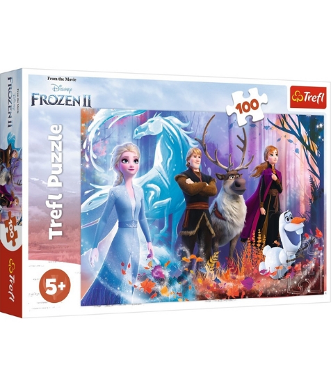 Imagine Puzzle Trefl 100 Frozen2 Lumea Magica