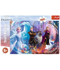 Imagine Puzzle Trefl 100 Frozen2 Lumea Magica