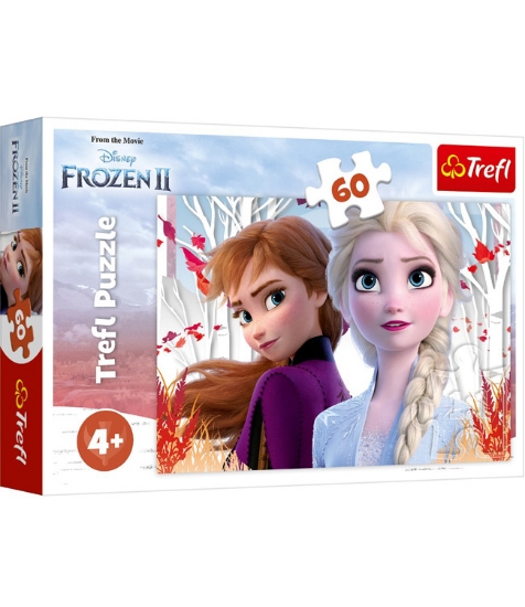 Imagine Puzzle Trefl 60 Frozen2 Ana si Elsa