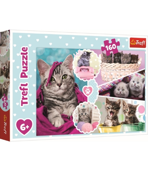 Imagine Puzzle Trefl 160 Pisici Dragalase