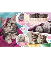 Imagine Puzzle Trefl 160 Pisici Dragalase