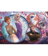 Imagine Puzzle Trefl 160 Universul Frozen2