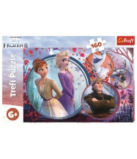 Imagine Puzzle Trefl 160 Universul Frozen2