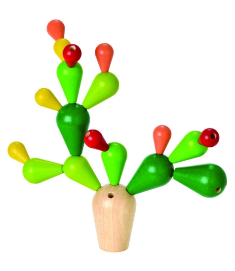 Imagine Cactus in echilibru