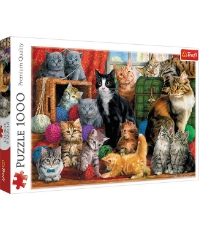 Imagine Puzzle Trefl 1000 Intalnirea Pisicutelor