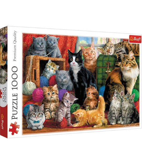 Imagine Puzzle Trefl 1000 Intalnirea Pisicutelor