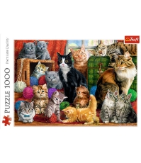 Imagine Puzzle Trefl 1000 Intalnirea Pisicutelor