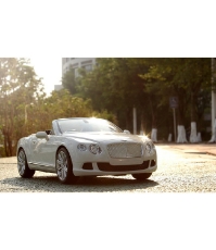 Imagine Masina cu telecomanda Bentley Continetal GT alb cu scara 1 La 12