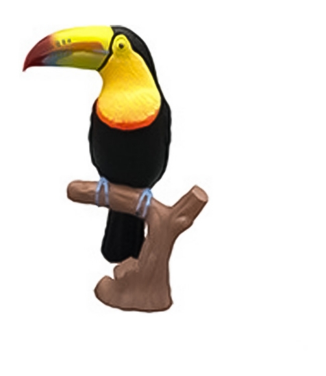 Imagine Tucan