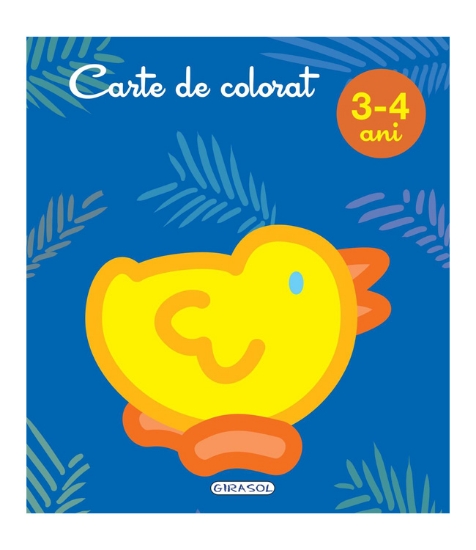 Imagine Carte de colorat 3-4 ani