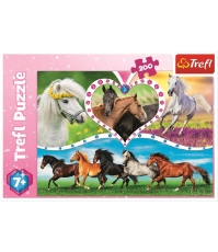 Imagine Puzzle Trefl 200 Frumosii Cai