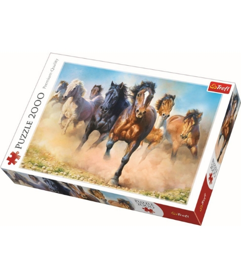 Imagine Puzzle Trefl 2000 Herghelie de Cai Galopand