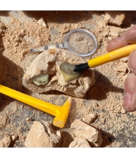 Imagine GeoSafari - Kit excavare fosile
