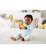 Imagine Fisher Price jucarie zornaitoare safari Leu