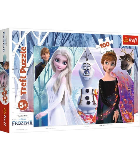 Imagine Puzzle 100 Taramul Incantator
