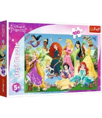 Imagine Puzzle 100 Printesele Sarmante